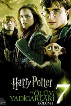 Harry Potter 7 Türkçe Dublaj İzle