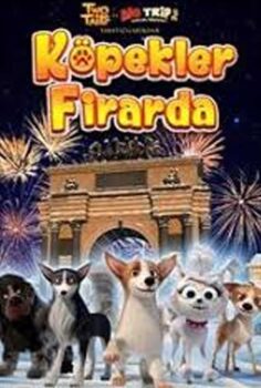 Köpekler Firarda İzle