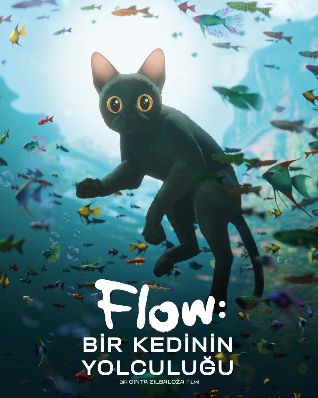 Flow: Bir Kedinin Yolculuğu İzle