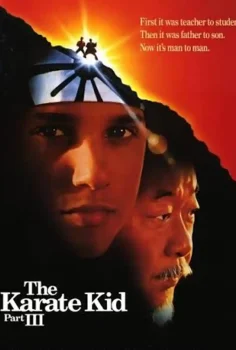 Karateci Çocuk 3 Türkçe Dublaj İzle